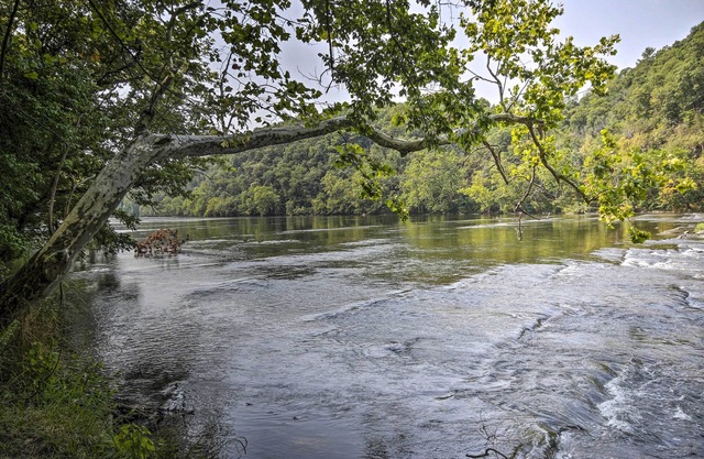 Shenandoah River Getaway < 9 Mi to Downtown Luray!
