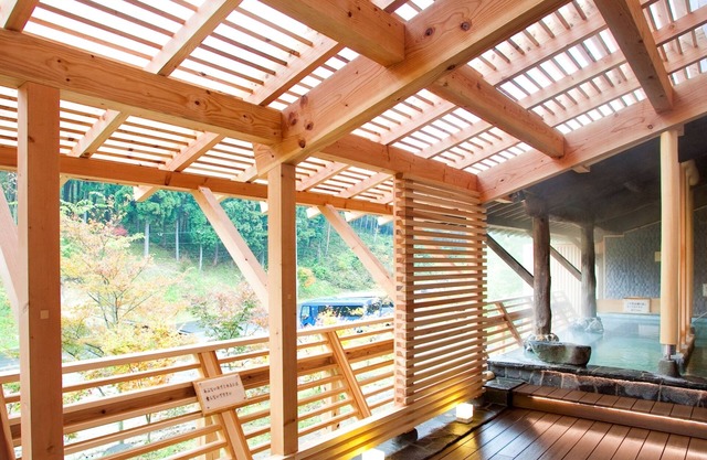 Shin Appi Onsen Seiryukaku