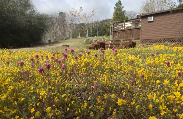 Shirley Creek Retreat: Eine Bergoase
