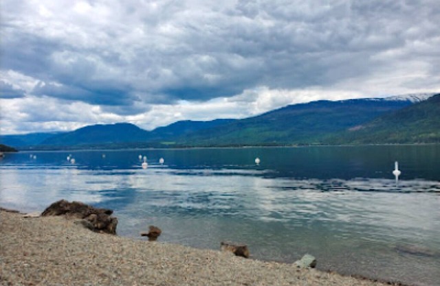 SHUSWAP STOP-Family Sized Lakeview Guest House w/Beach Access Golf & Fine Dining
