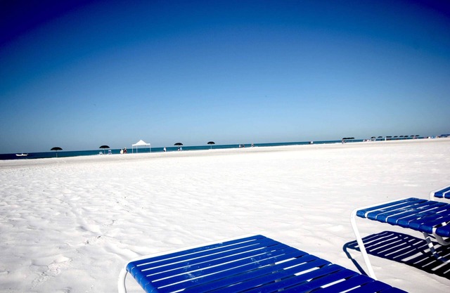 Siesta Key Getaway: Sun, Pool, & Fun