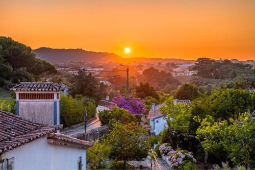 Silent Place - Sintra