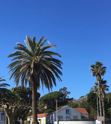 Silveira by the Sea
