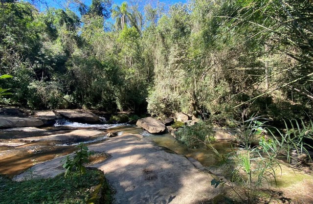 Website Blue Butterfly - Paradies in der Serra da Cantareira