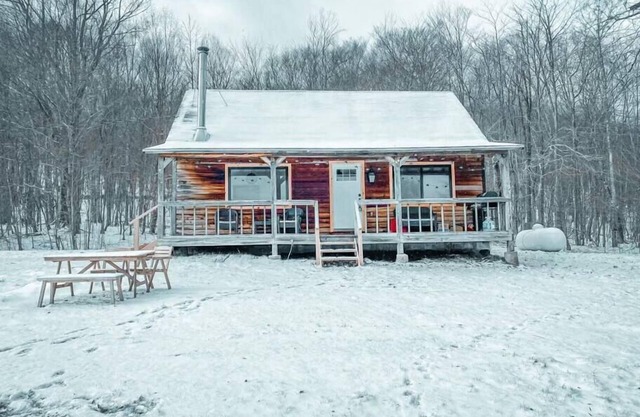 Ski Cabin-Scenic Views-5.5 Private Acres-Fast Wifi