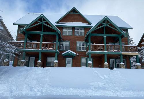 Ski in and out, pet and kid friendly, slope side townhouse