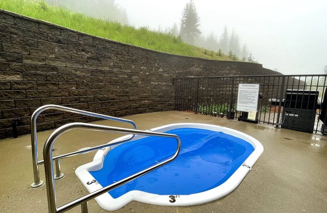 Ski in/out with brand new hot tub. Top floor Palliser Lodge.