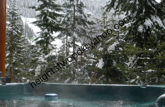 Ski in & Ski out 4 bedroom home above Creekside