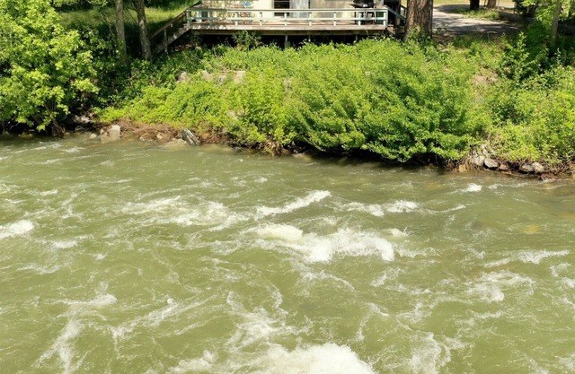 Ski’s Cabin – Your Perfect Riverside Escape
