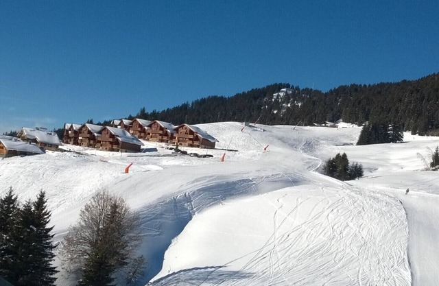 Ferienwohnung direkt an der Piste für 5 Personen mit Zugang zur Domaine des Saisies