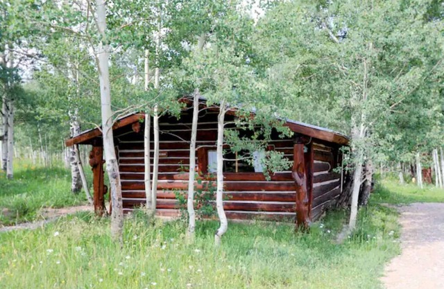 Skiers Cabin - A Cozy Historic Full Log Cabin