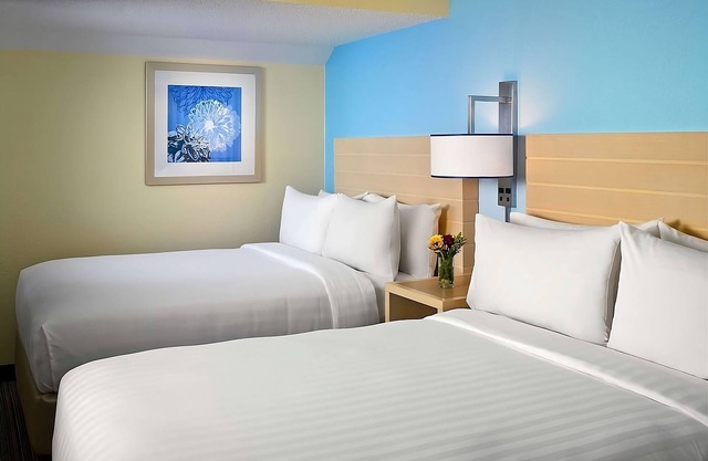 Skiing at Boston Mills! 4 Pet-friendly Units W/ Kitchens, FREE Parking, Pool!
