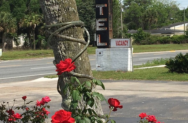 Skylark Motel