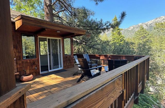 Sleek & cozy treehouse cabin w/ brand new bathrooms, walk to town, A+ views!