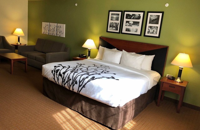 Sleep Inn And Suites Shamrock