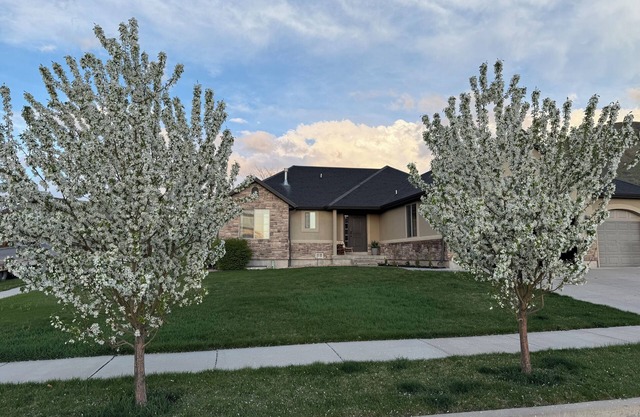 Sleeps 15 - Moutain View