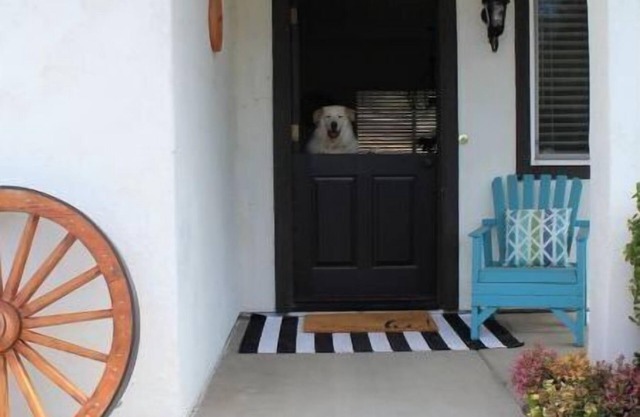 Sleeps 4. Private casita in the country.