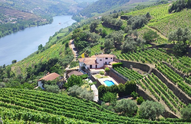 Kleiner Bauernhof in Douro mit privatem Pool