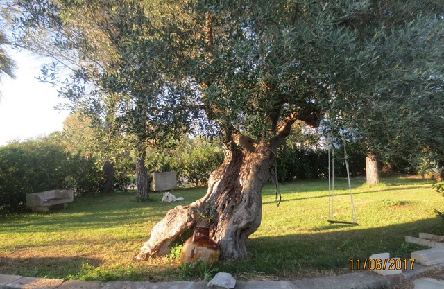 Kleines Haus auf dem Land, die kleine "Cornula", Salento