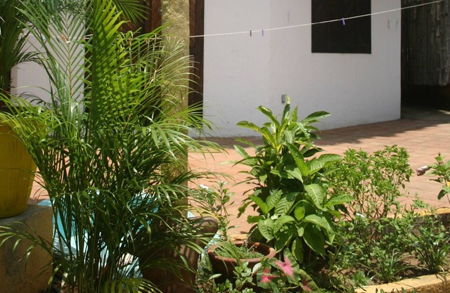 Kleines Haus mit Meerblick - Mazunte