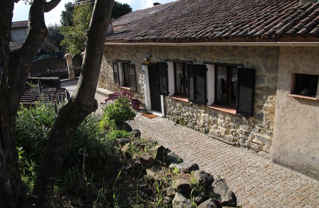 Small quiet house surrounded by olive trees between sea and mountains