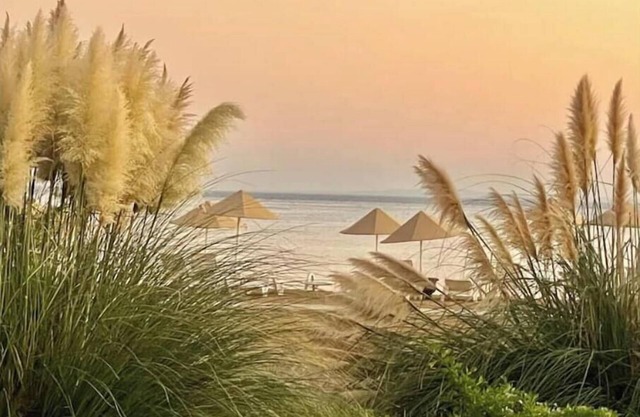 Smart Olive Suite by the Sea