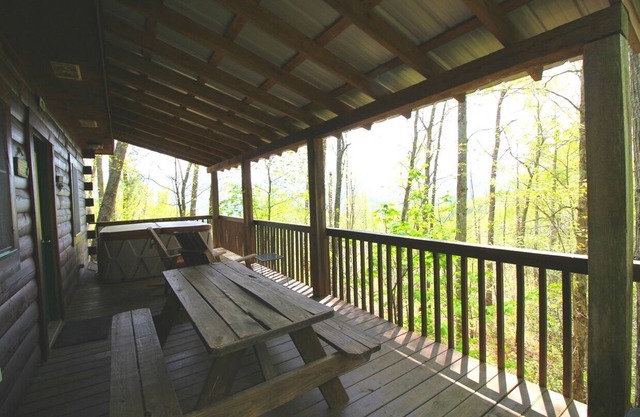 Smokies Cabin- Bryson City NC
