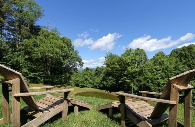 Smoky Mountain Getaway @ 3800 ft, Minuten zur Innenstadt, Blue Ridge, WiFi, SmartTV