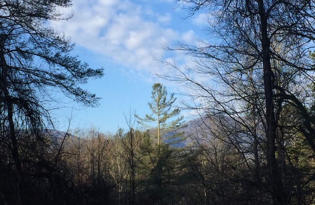 Szenischer Smoky Mountain Retreat im Nantahala Forest, 5 km vom Appalachian Trail entfernt
