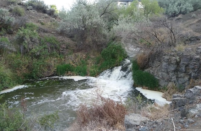 Snake Riv Canyon. 20 min to Twin Falls. On Mudd Creek on 1000 Springs Byway