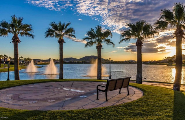 Snowbirds & Sports Fans -- Your Immaculate Desert Oasis Awaits