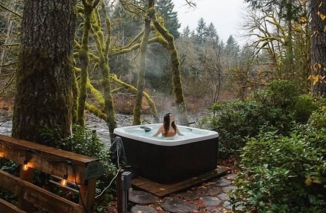 Sol Duc Serenity - River Front- Hot Tub - Olympic National Park