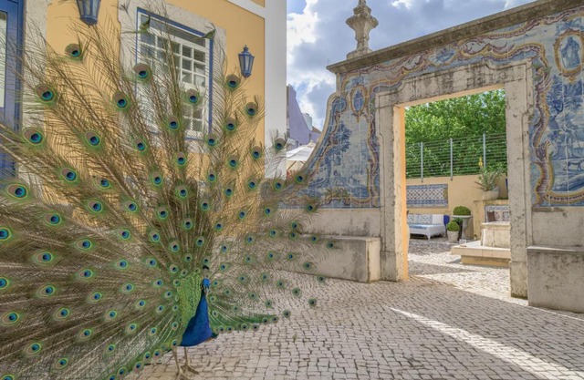 Solar do Castelo - Lisbon Heritage Collection - Alfama