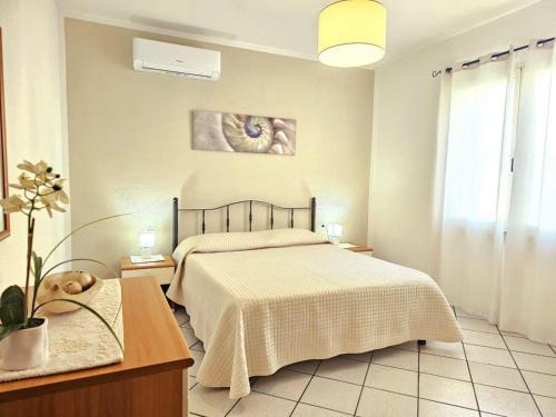 Solara Apartment
