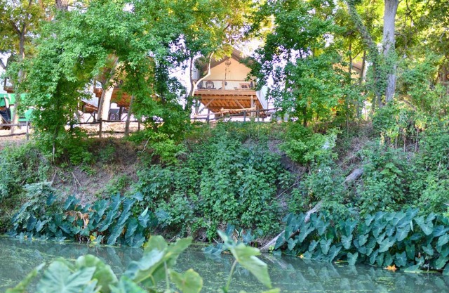 Son's Rio Cibolo Birdhouse Cabin #22 Brand New Cabins Overlooking Beautiful Spring Fed Creek!