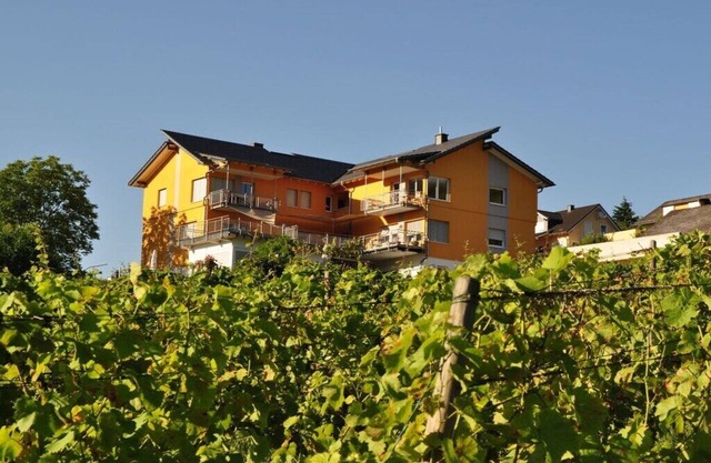 SonnenHof Ferienwohnung 4