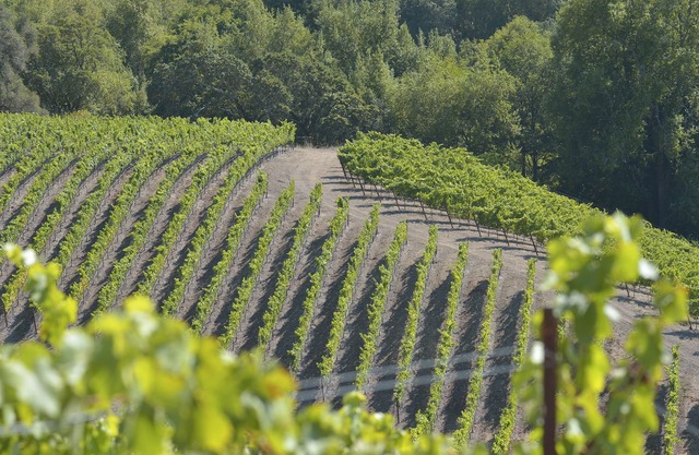 Weingut Haus auf einem 26 Hektar großen Grundstück Creekside Wunderbar für alle Altersgruppen