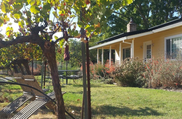 Sonoma Vineyard Cottage - enjoy wine country life. Peaceful yet central locale!