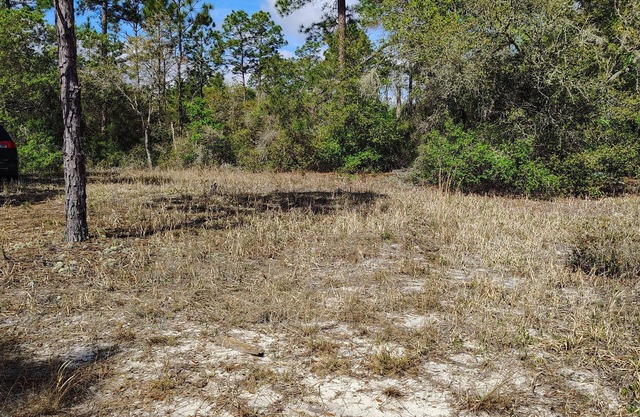 Soothing campground in Interlachen for a peaceful getaway