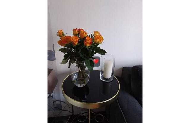 Sophie's chic studio in the heart of downtown