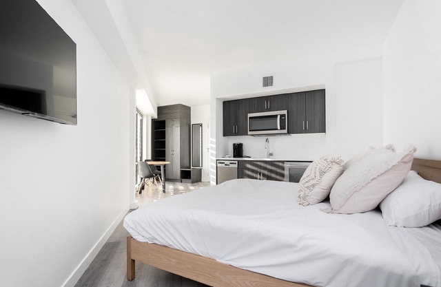 (300) Bright Studio Steps from the UofM | 30UC