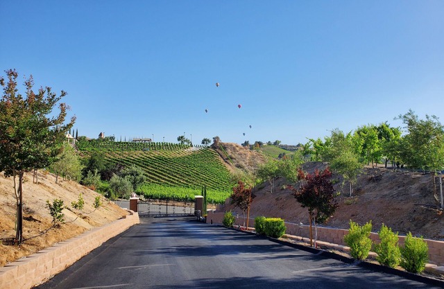 Southern Vines Suite - Wine country treat!