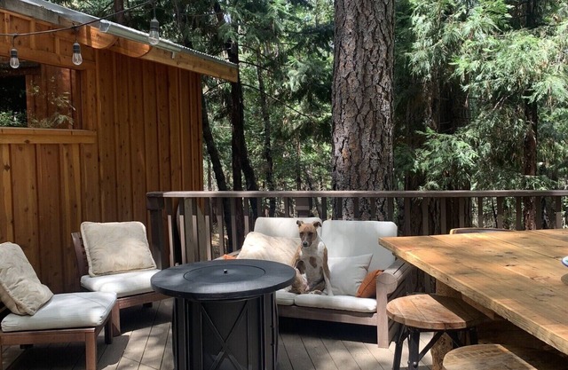 Quiet retreat forest cottage