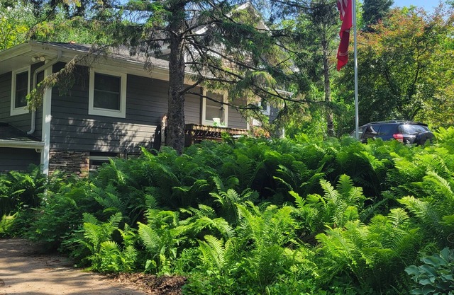 Spacious 3-bedroom Ranch getaway in charming Afton MN with AC, WiFi