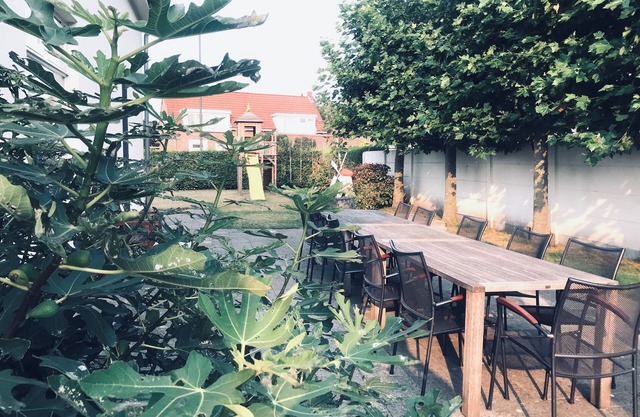 Spacious 6-bedroom house in charming Baarle-Hertog with large garden.