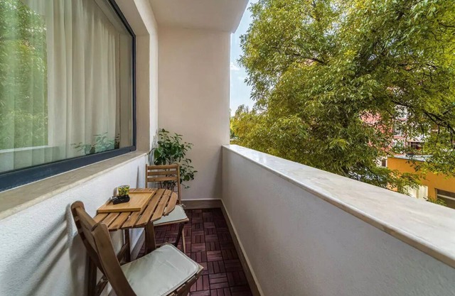 Spacious and cozy apartment in the center of the city