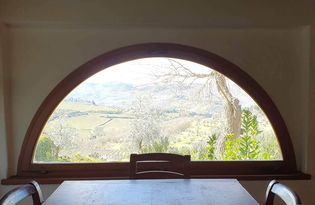Geräumige Wohnung La Colonna mit Blick auf die Weinberge des Chianti Classico