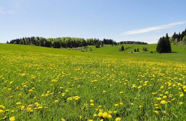 Geräumige Wohnung -FORM KOMFORT-ENTSPANNUNG IN VOLLER NATUR