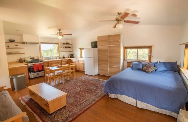 Spacious artist's studio loft apartment with view