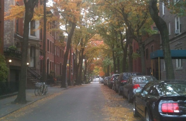 Charming Brooklyn Heights 1 Schlafzimmer